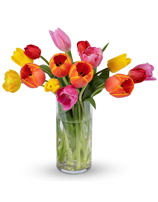 15 Stem Multi-Colored Tulips