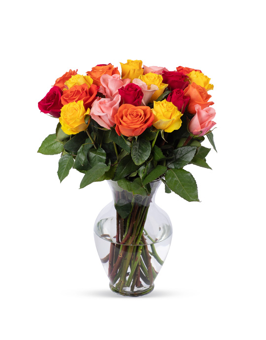 2 Dozen Rainbow Rose