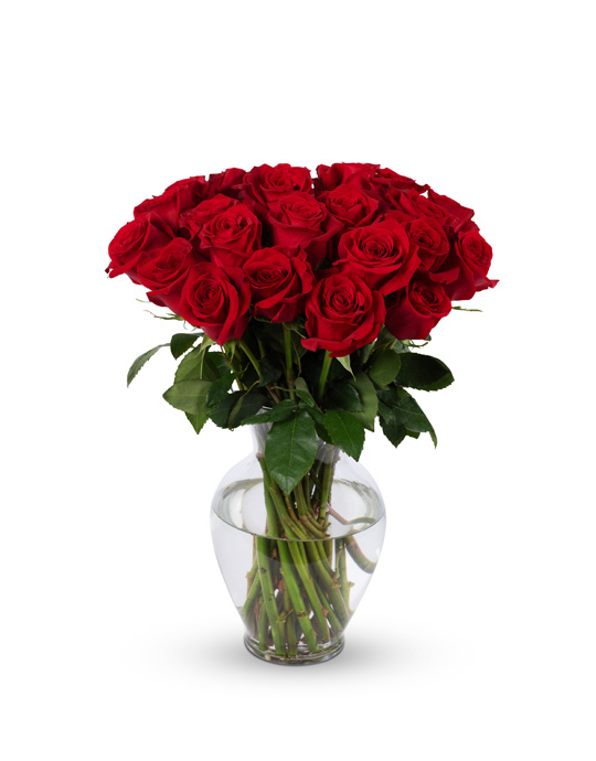 2 Dozen Red Rose